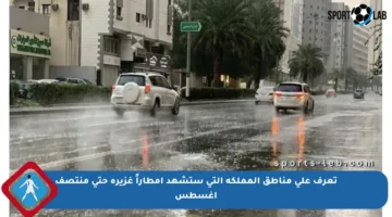 تعرف على مناطق المملكة التي ستشهد أمطاراً غزيرة حتى منتصف أغسطس